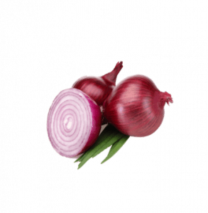 Red Onion element 01